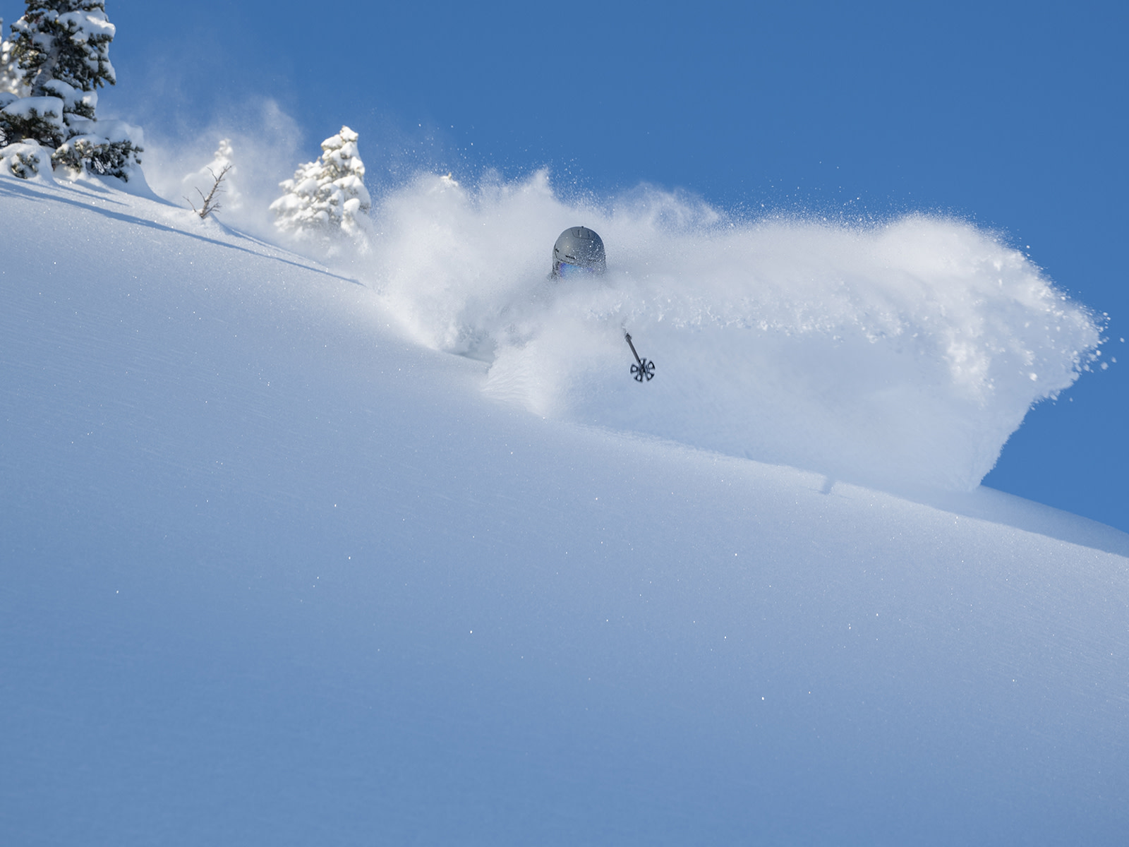 January 6th: Tyler Peterson skis deep powder | Photo: Lee Cohen