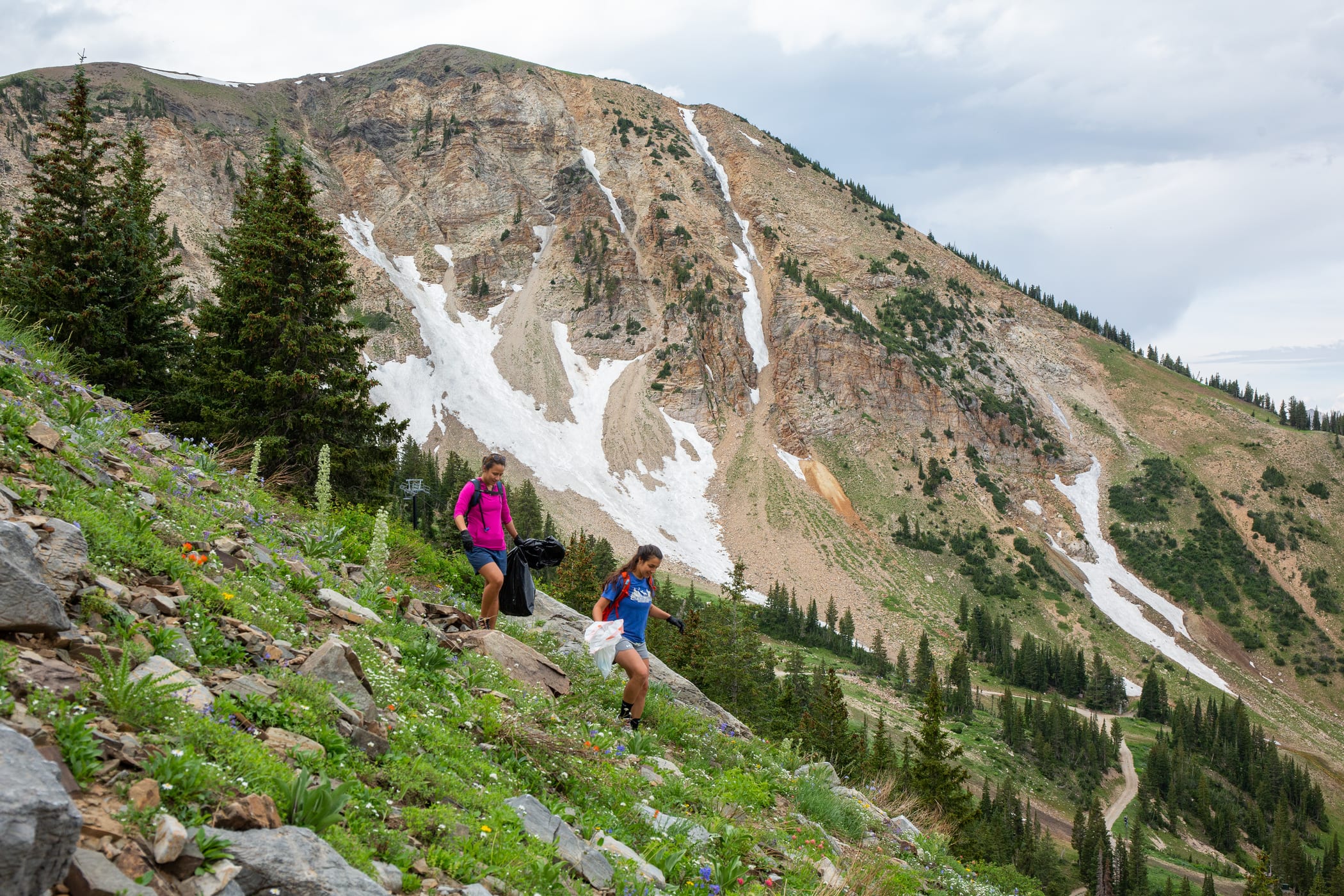 Volunteers look for trash on the slopes of Alta