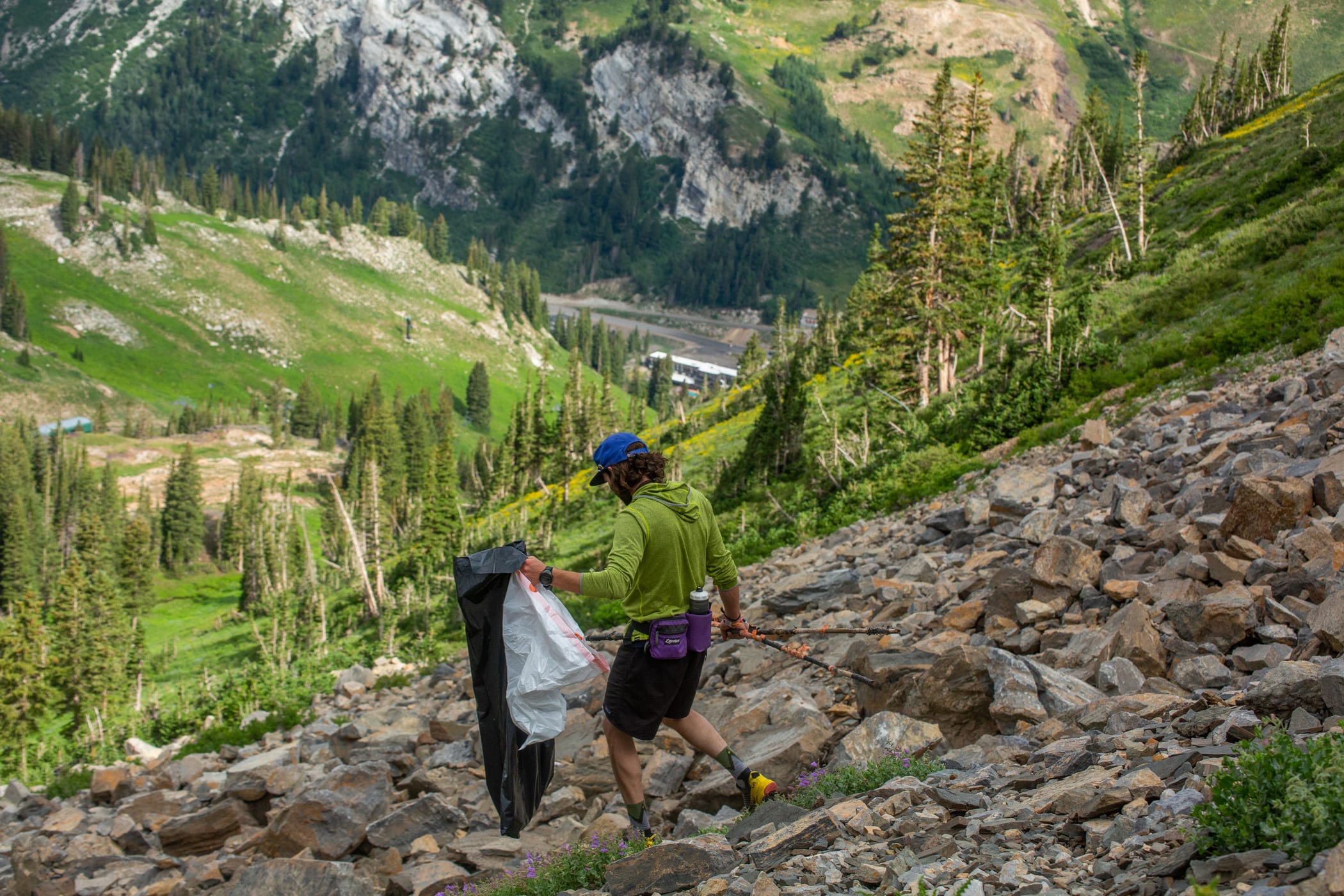 Wildflowers and Volunteers