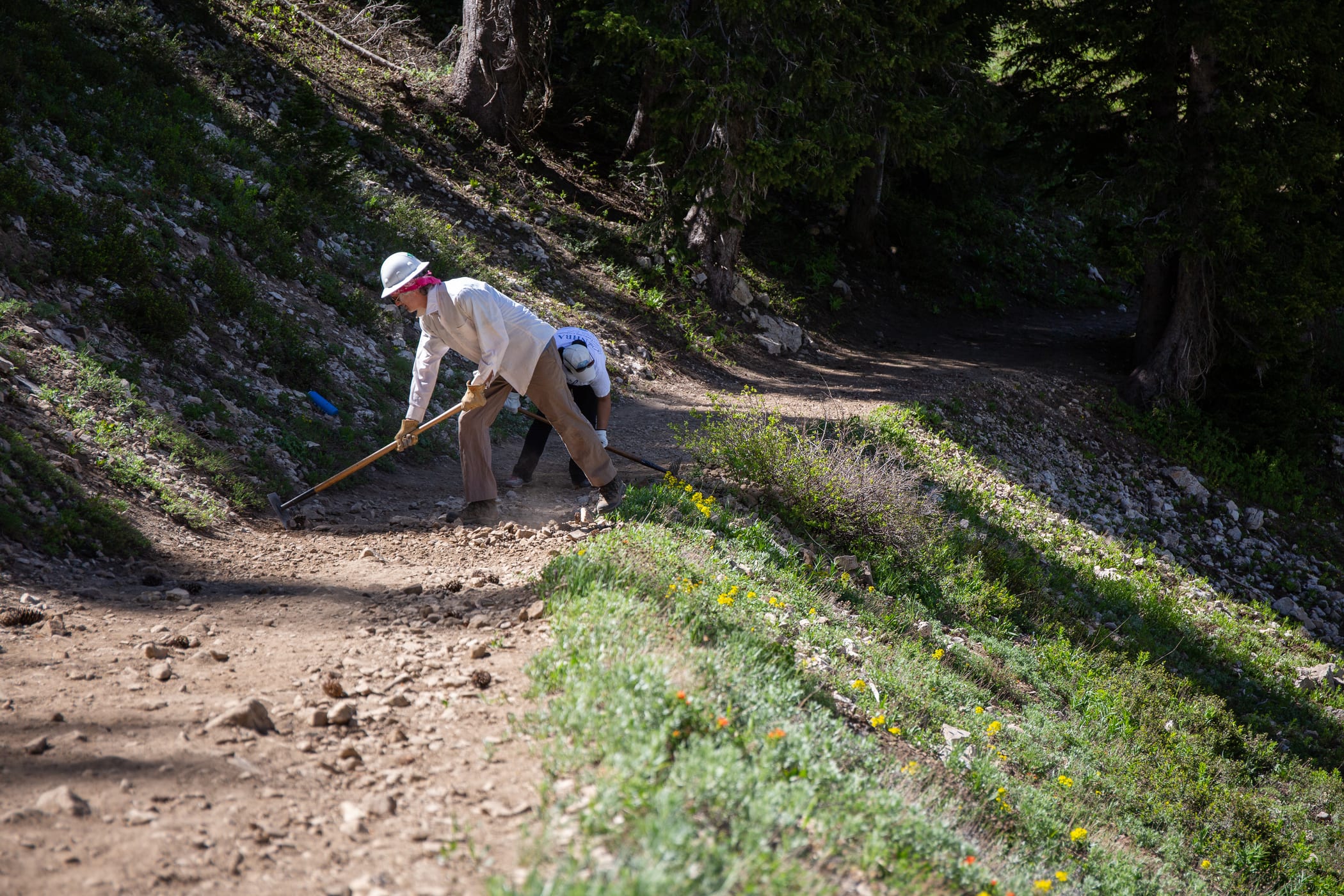 Summer Trail Work