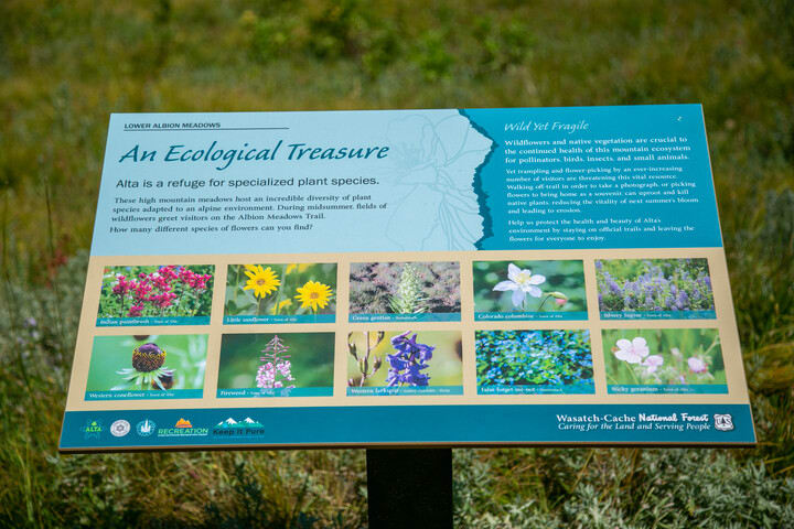 Interpretive signs on albion medows trail