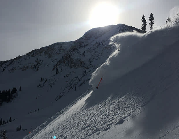 Pink ski pole emerging from cloud of snow from skier skiing deep powder