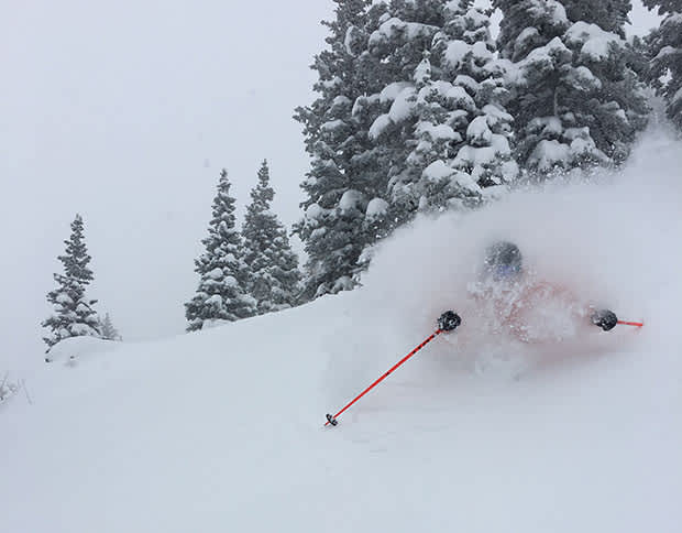 Skier girl skiing deep fresh powder snow