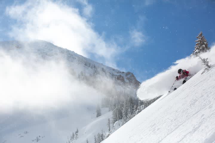 Amy David skis deep powder on a sunny day