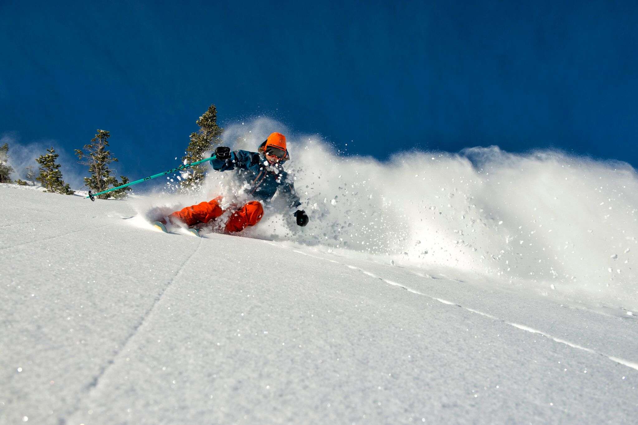 Skier with orange pants skiing fresh snow