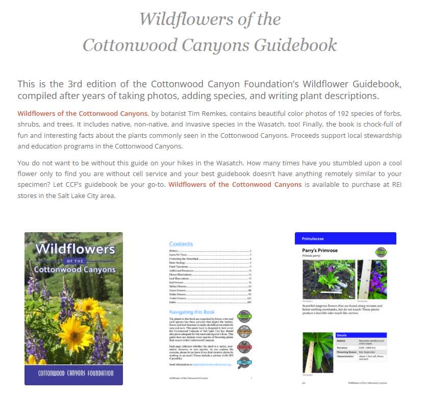 Wildflowers of the Cottonwood Canyons Guidebook