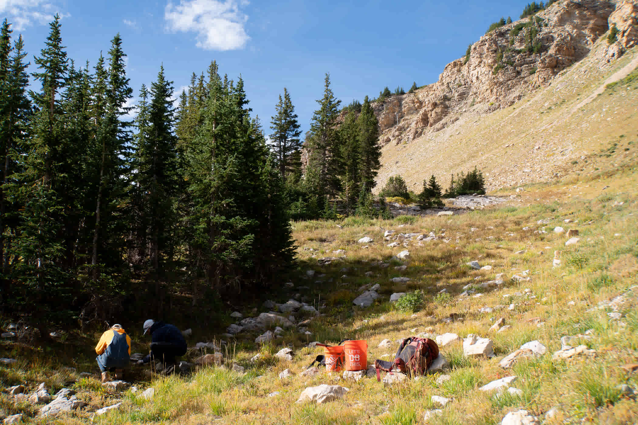 Volunteers planting in Glory Gulch
