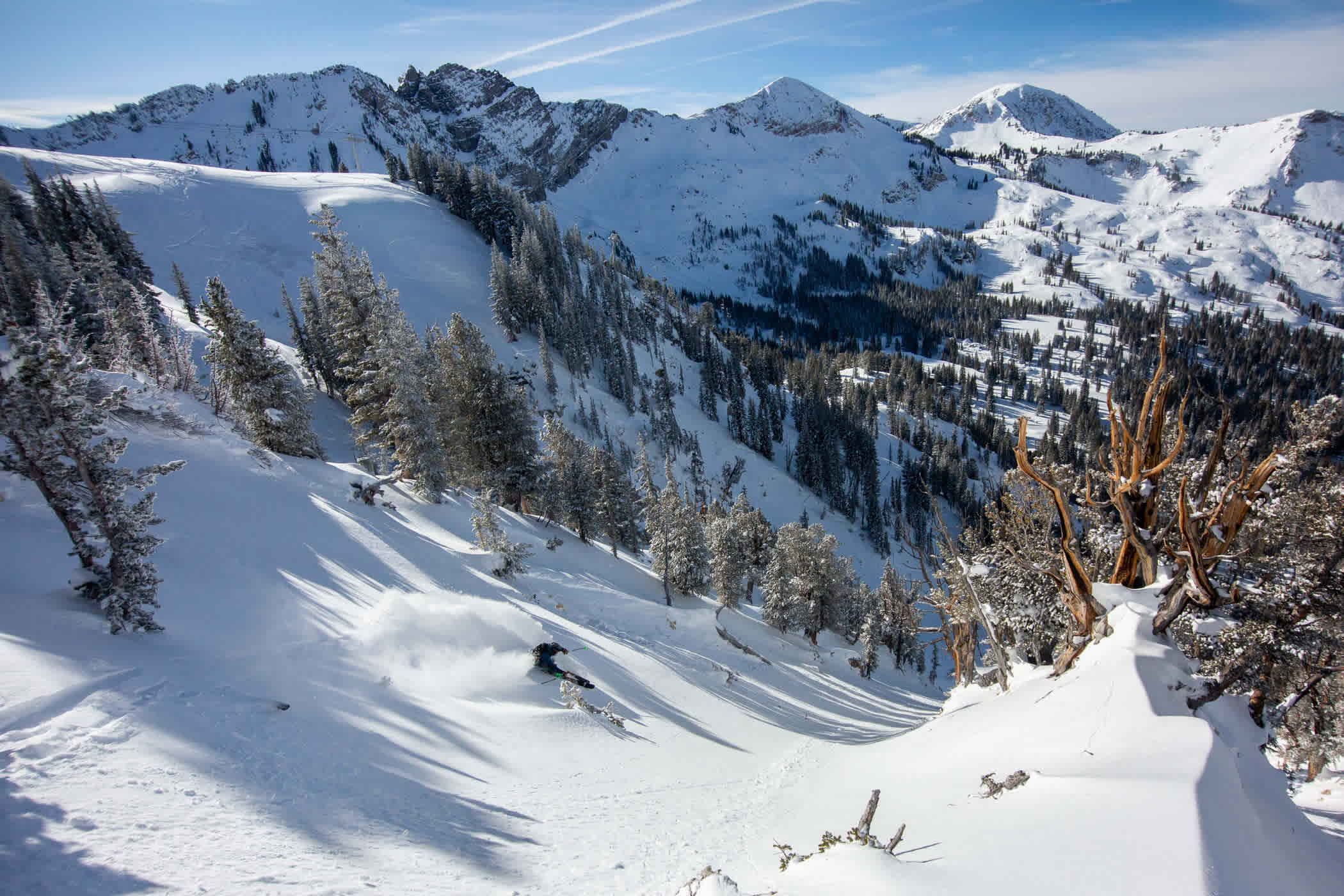 An Alta local enjoys powder turns in Spiney Chutes | Photo: Rocko Menzyk