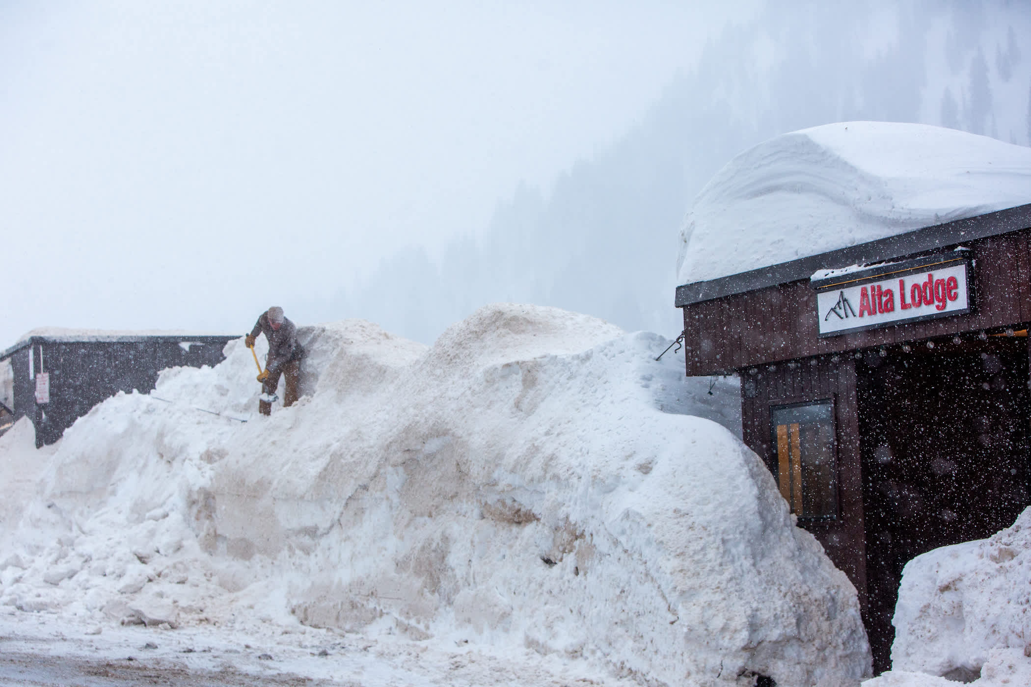 An Alta Lodge employee digs out following an eary-January storm cycle