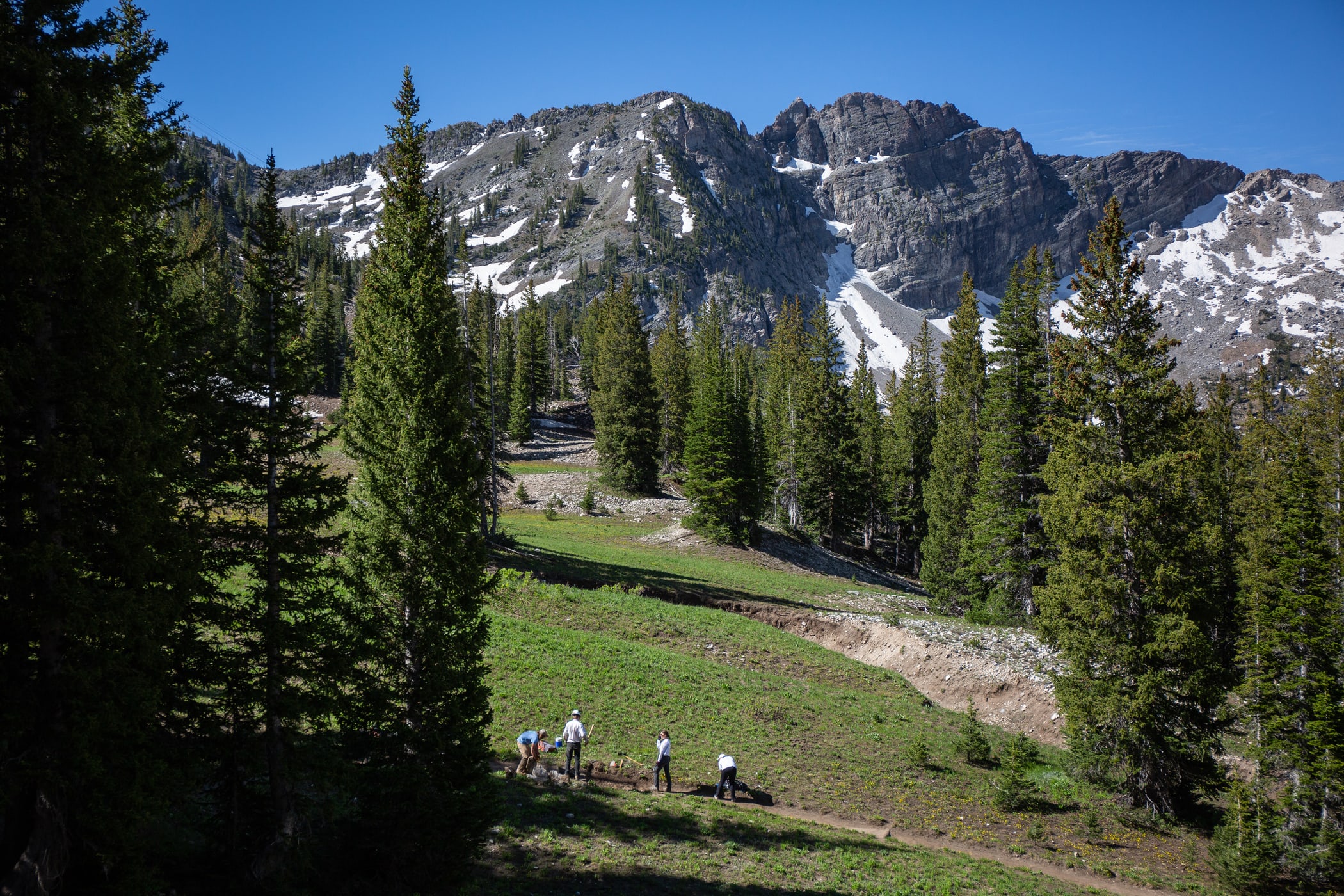 CCF Summer Trail Work