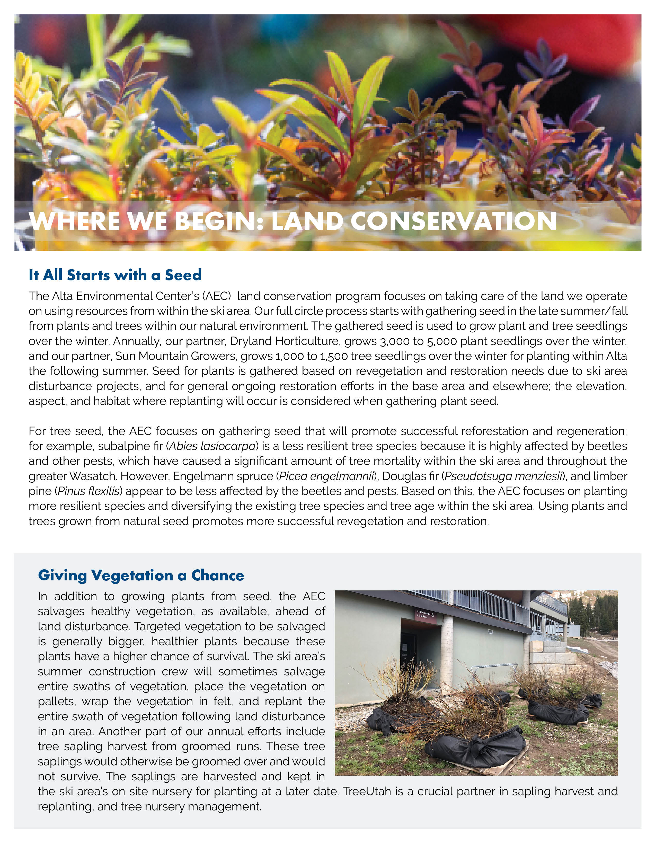 Download the AEC Report