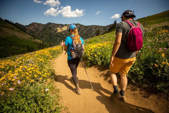 hikers hiking in albion basin