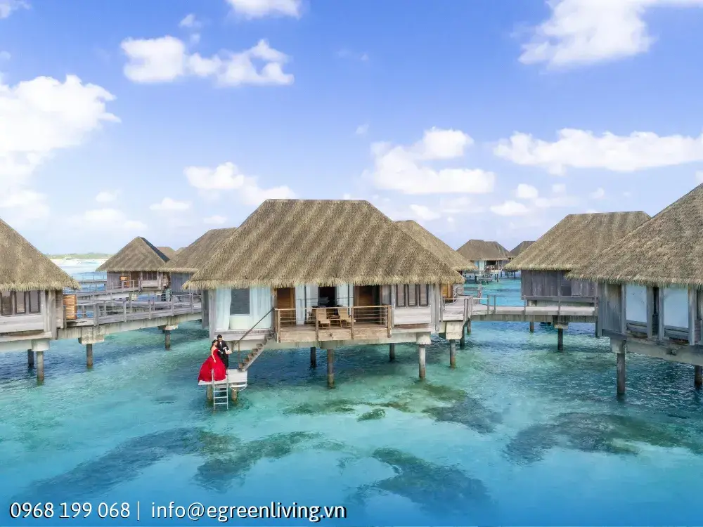 Những Điều Cần Biết Về Resort Bungalow Lý Tưởng