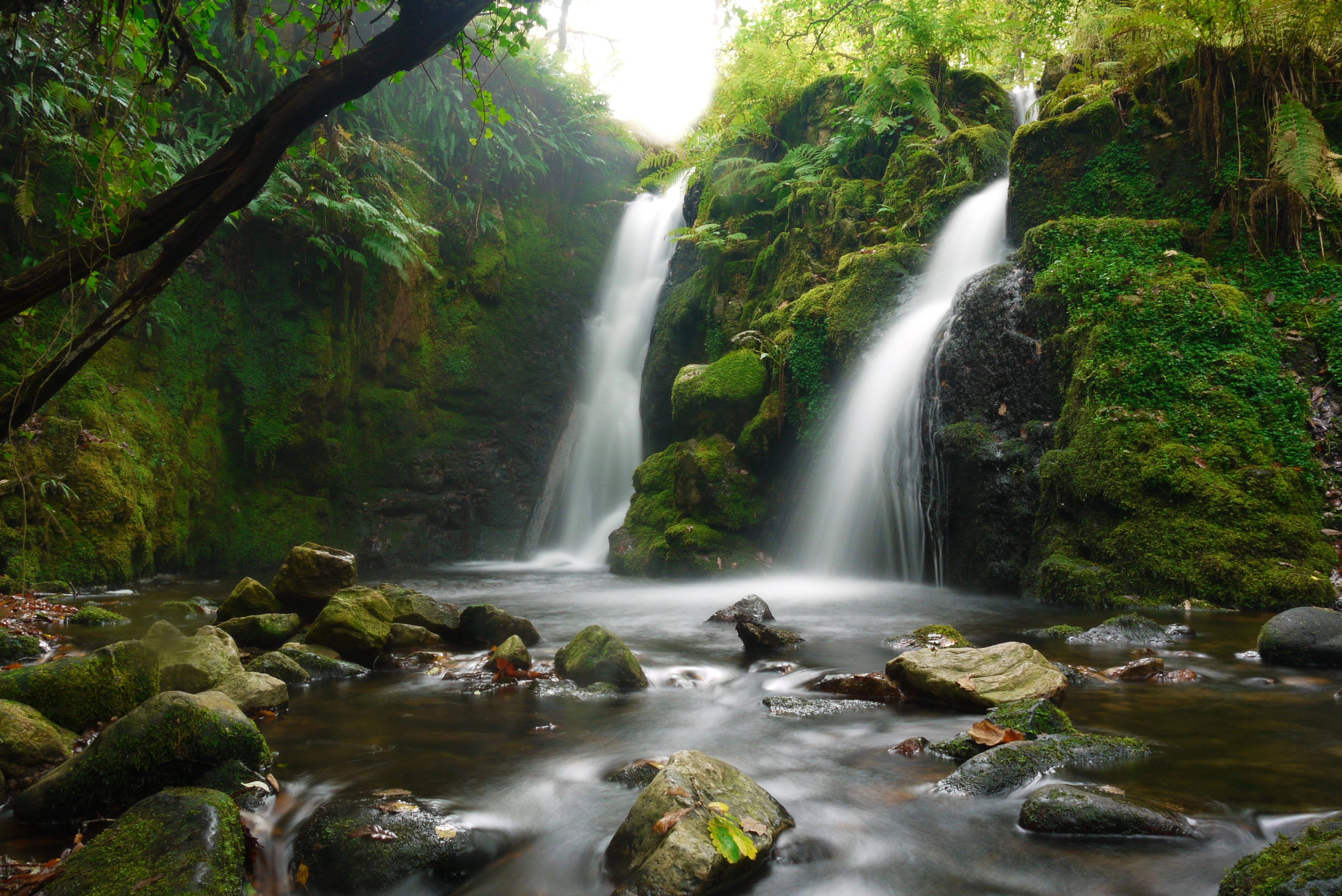 Juice Fast & Ancient Wisdom Retreats on Dartmoor