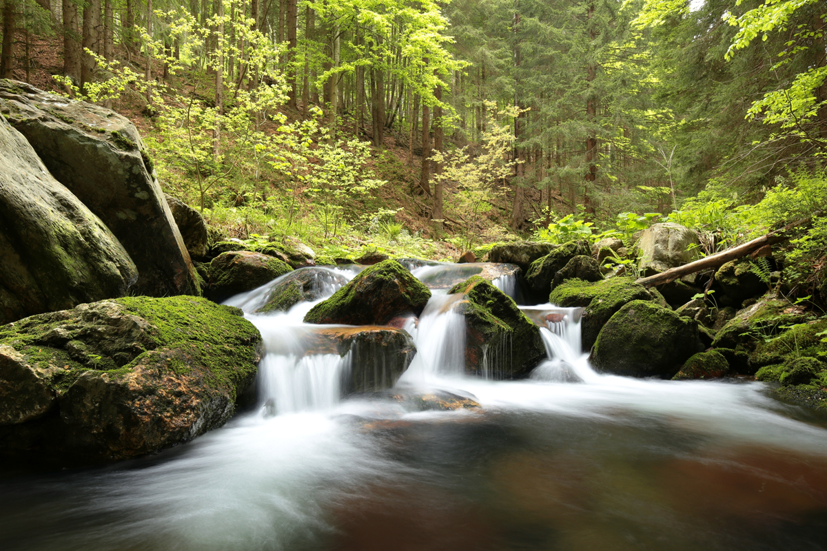 Sacred Journey Retreats in Scotland