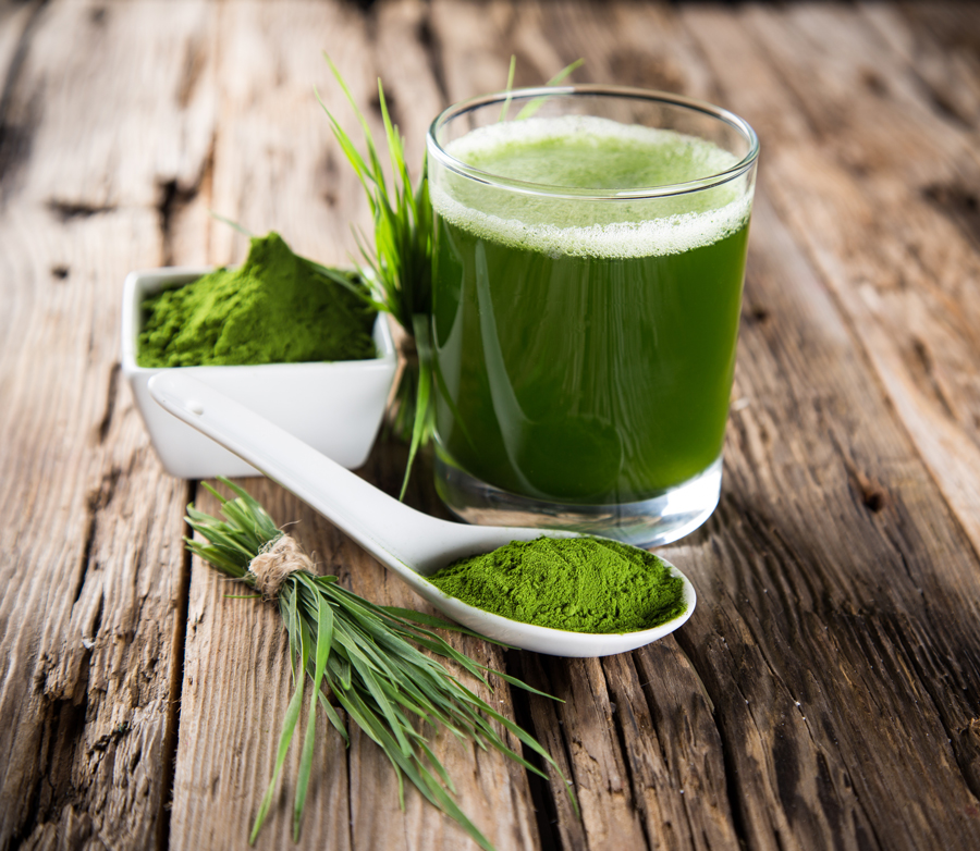 wheatgrass