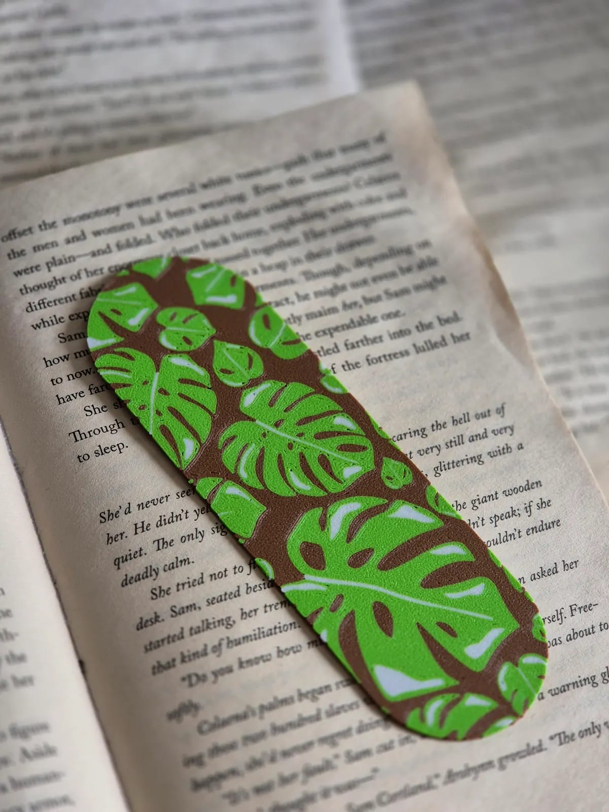 Monstera Bookmark Plants, gallery image 4