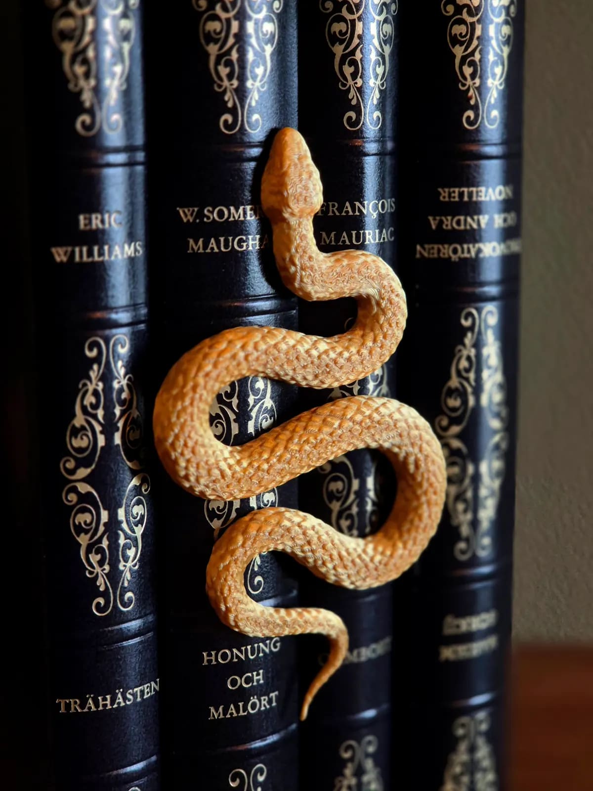 Snake Bookshelf Insert Decor, gallery image 3