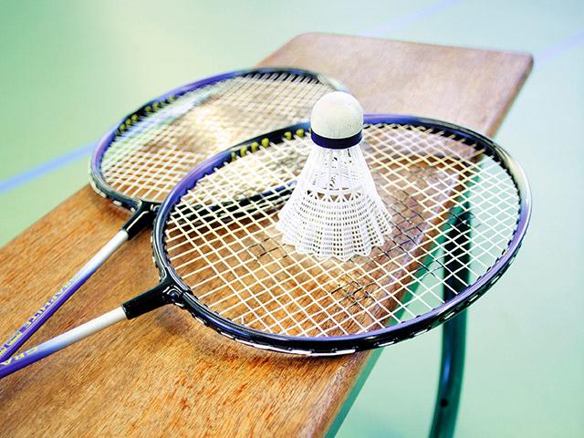 Speedminton בסנטר פארקס .jpg