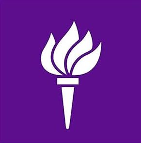 Web development icon