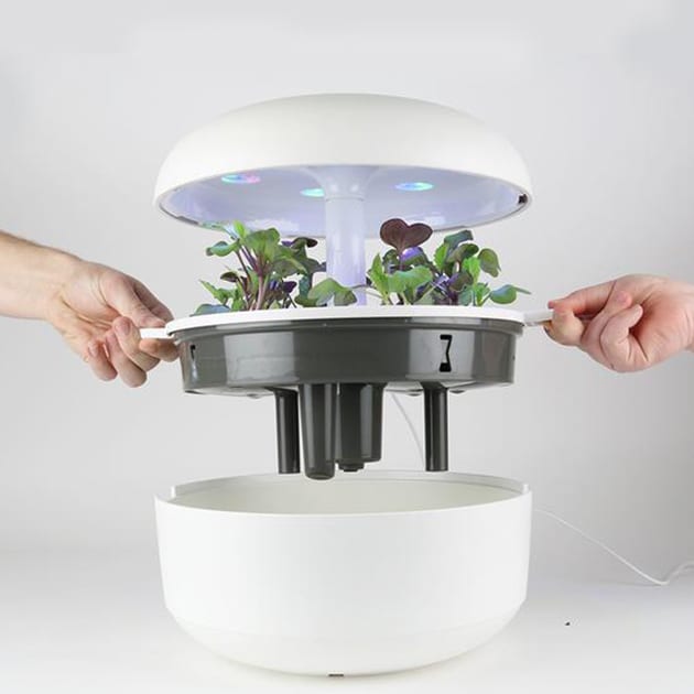 Smart Garden – Plantui 6