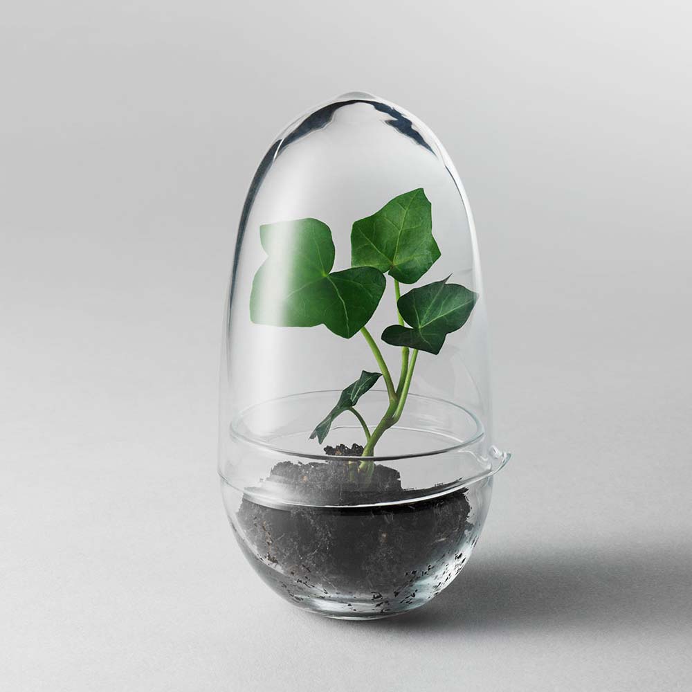 Grow Gewächshaus Glas