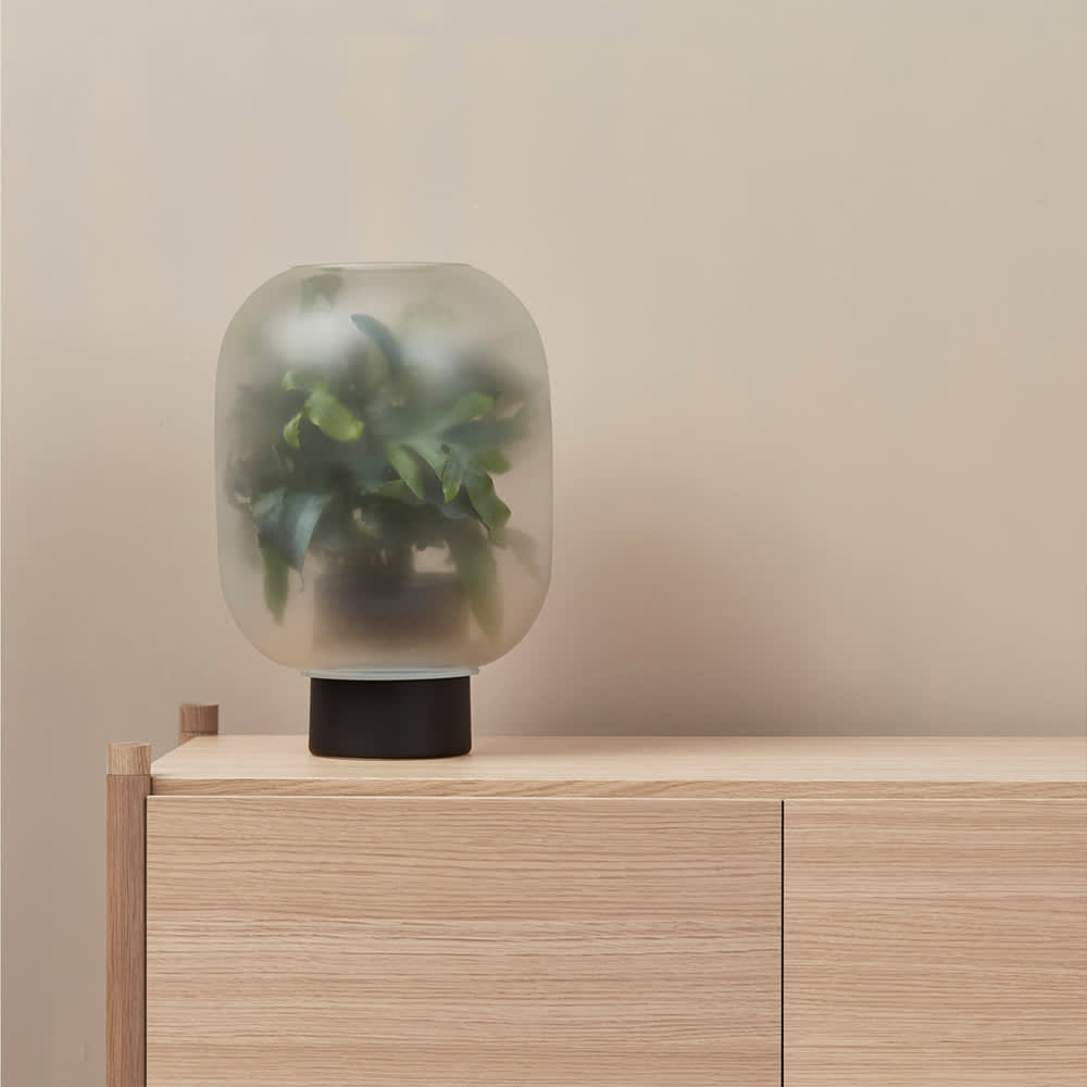 Gejst – Nebl Vase lässt Deine Pflanzen im Nebel stehen
