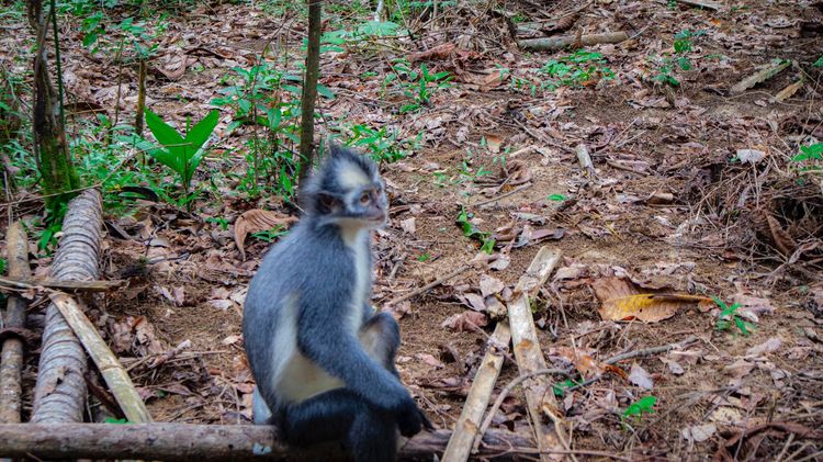 medium_WhatsApp Image 2026-01-22 at 1.33.07 PM (2).jpeg