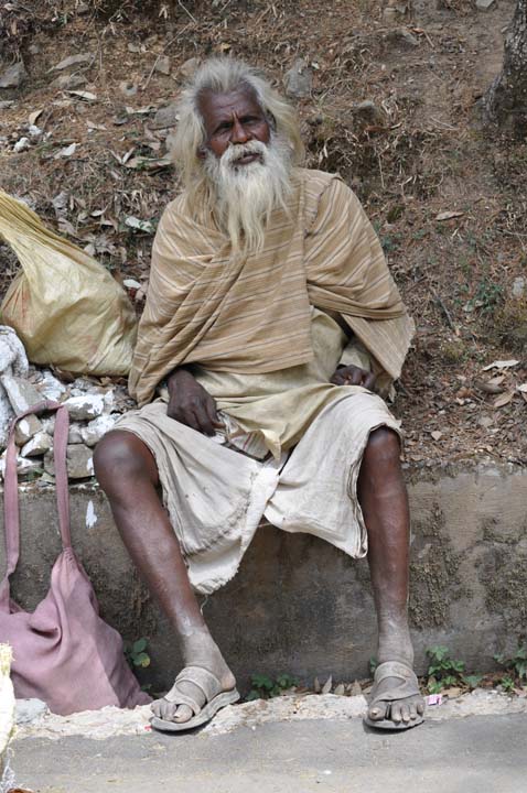 Al pies de los Himalayas Al pies de los Himalayas