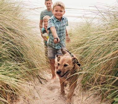 late availability dog friendly cottages