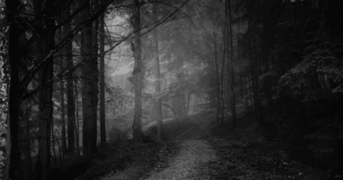There’s Something In The Woods, Jennifer Tilly’s Bored In The House And MORE!