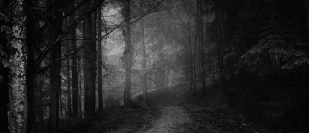 There’s Something In The Woods, Jennifer Tilly’s Bored In The House And MORE!