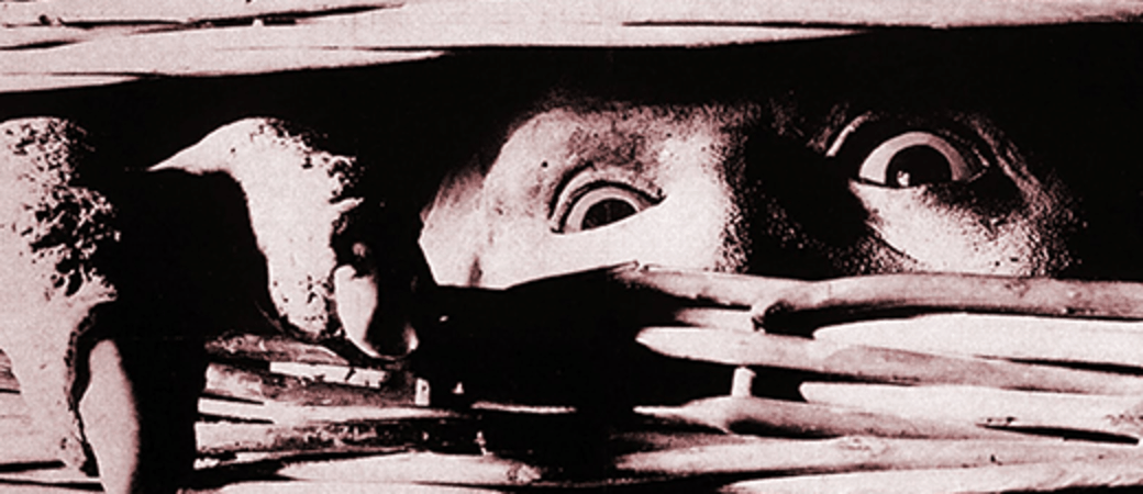 BASKET CASE, Hitchcock’s Head, and MORE!