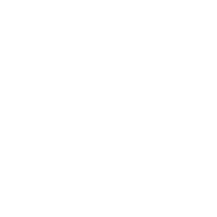 Nordic Night