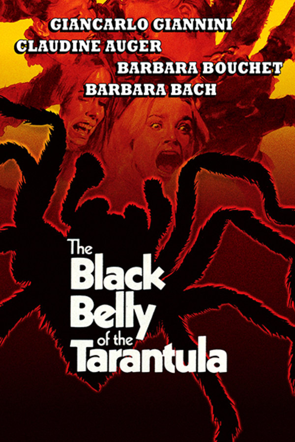Black Belly of the Tarantula