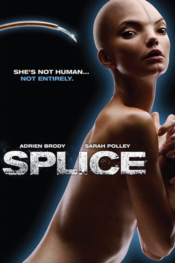 Splice