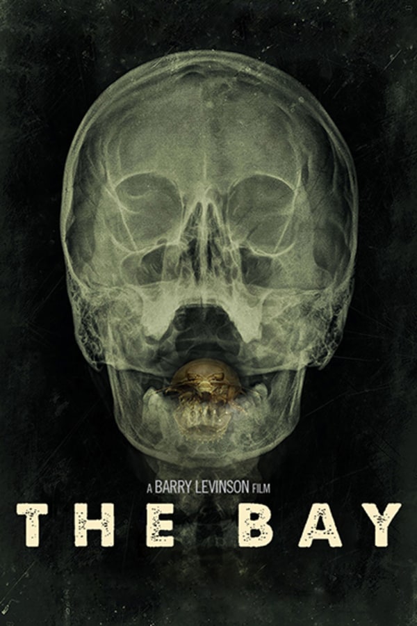 The Bay