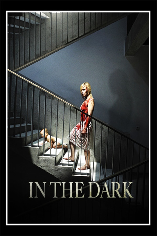 In the Dark (aka The Sublet)