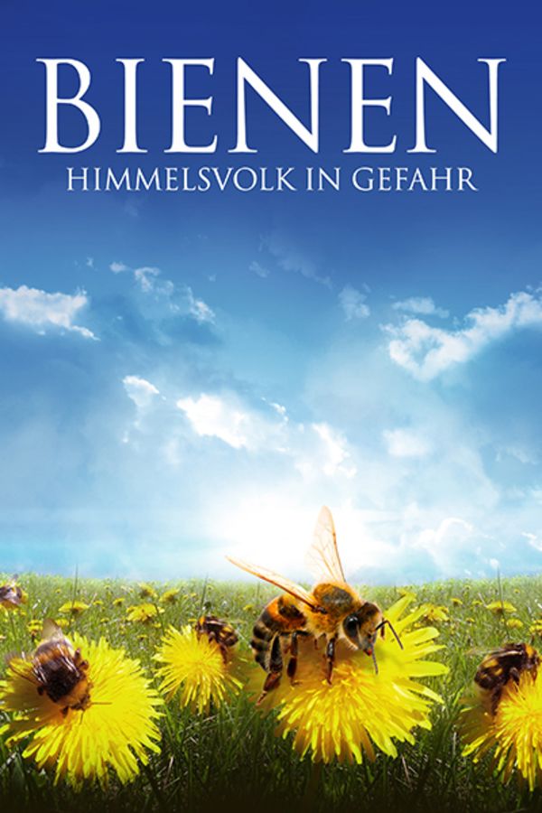 Bienen Himmelsvolk in Gefahr