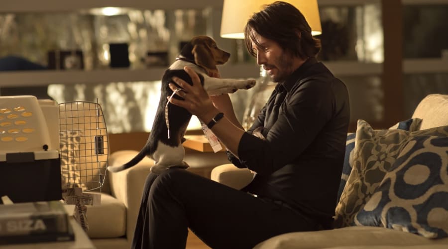 John Wick 2: 12 Secrets From Director Chad Stahelski