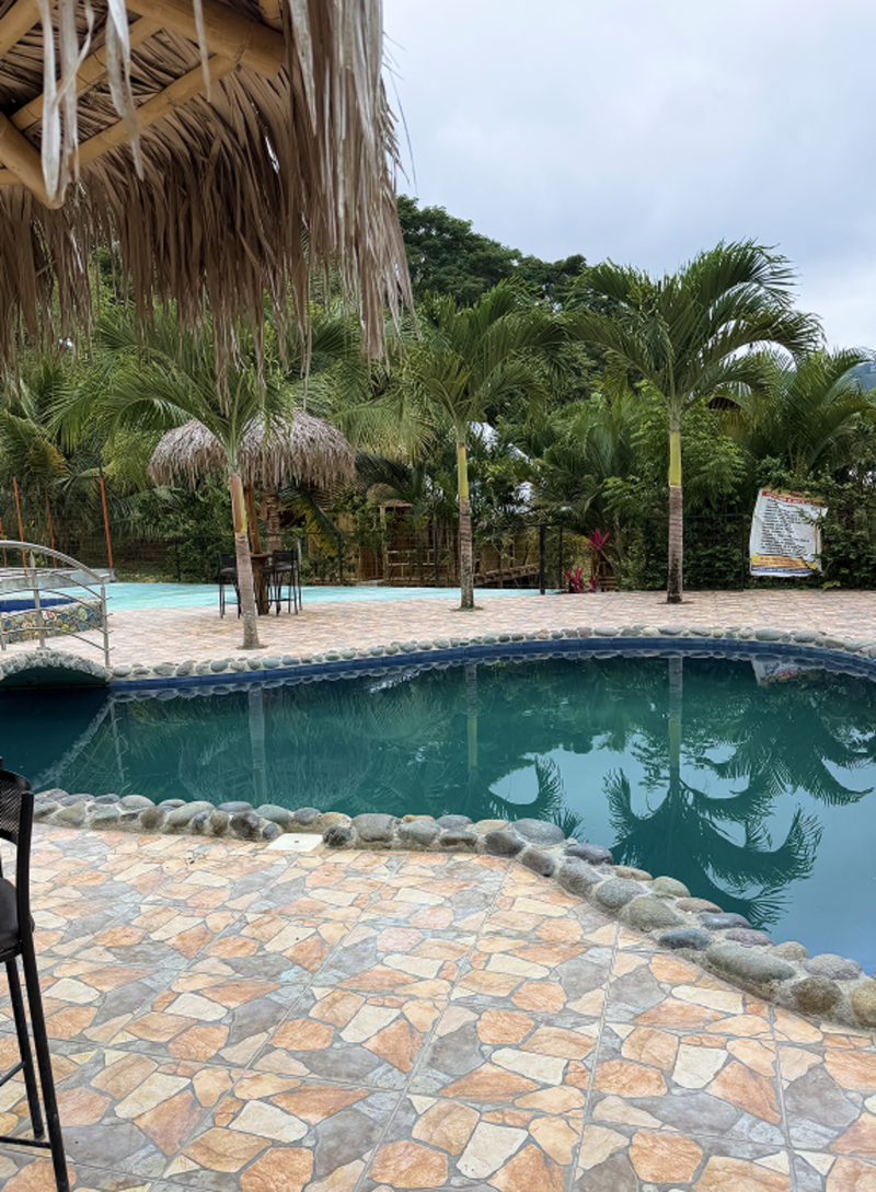 Pool and palm trees at the hotel
