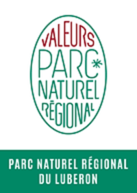 logo-2