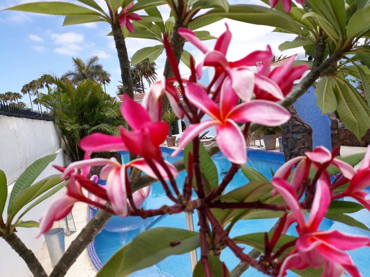 Sustainability Birdcage Resort