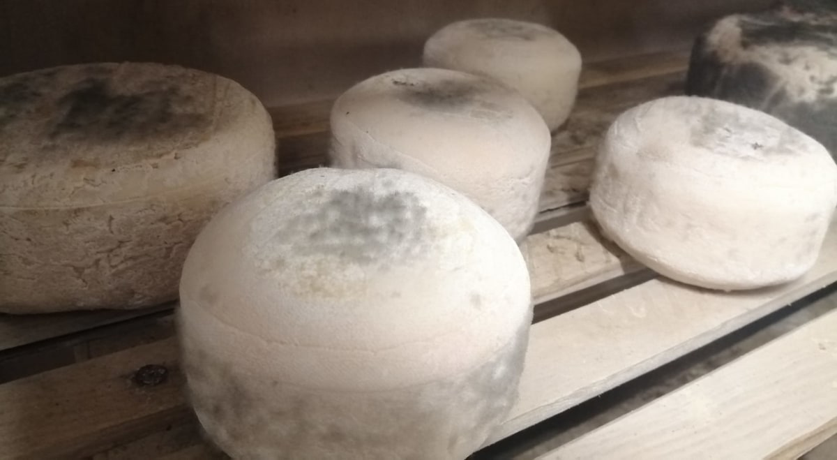 la-fromagerie-de-terroir-de-familles-ecurey-en-verdunois