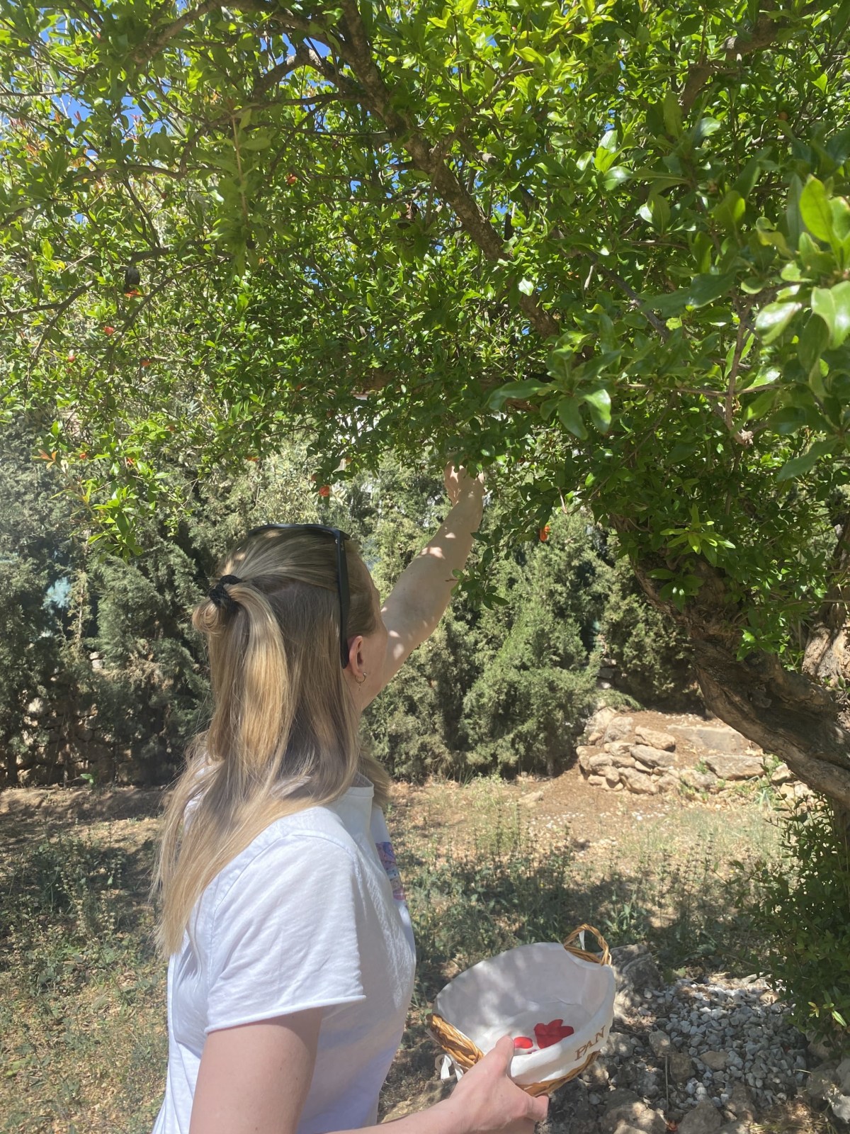 Wellness and Ayurvedic Retreats at Harmony Home , Malaga