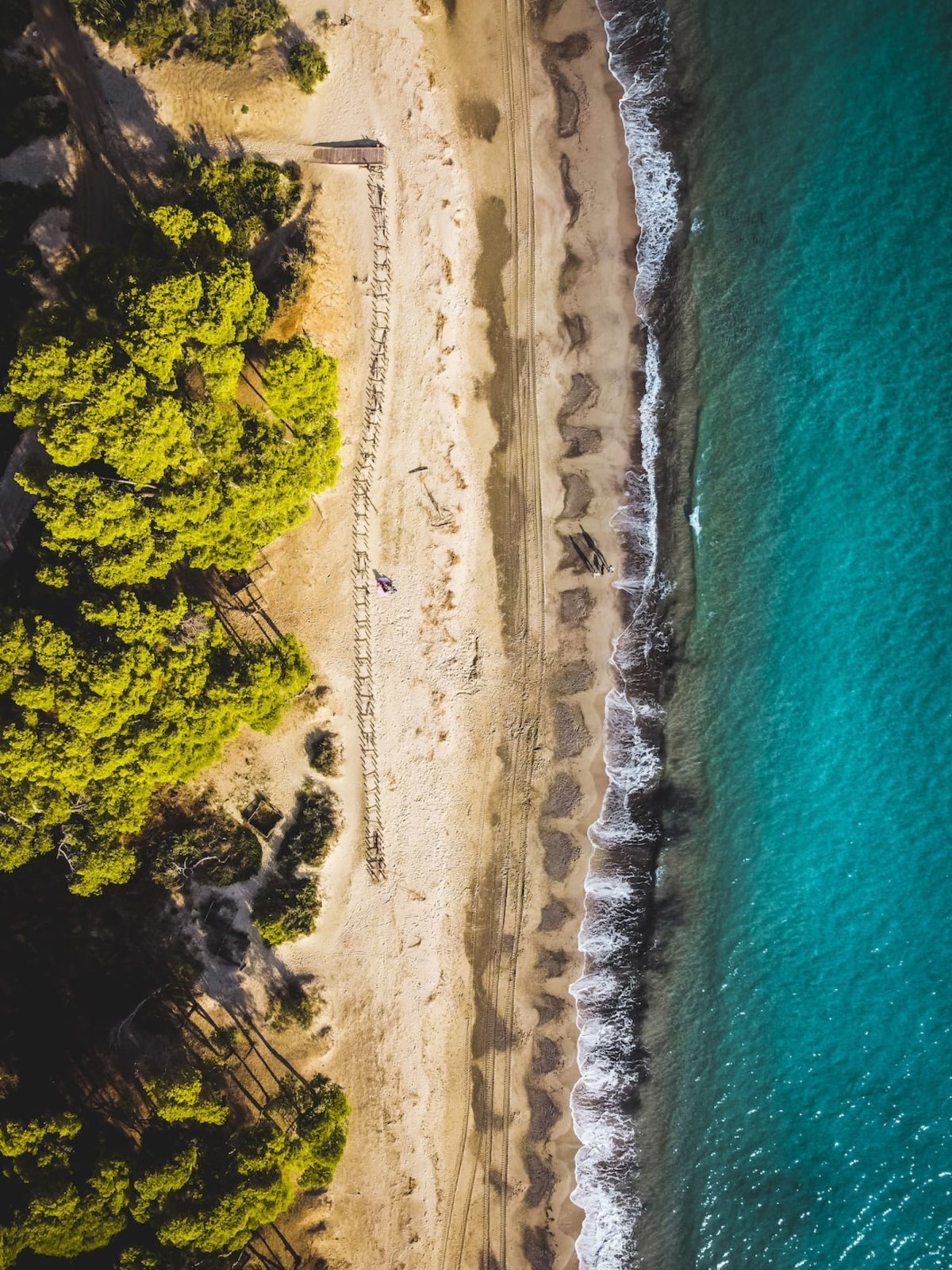 Appartamento Miramare Affitto Appartamenti Vacanza A Follonica appartamento-miramare-affitto-appartamenti-vacanza-a-follonica