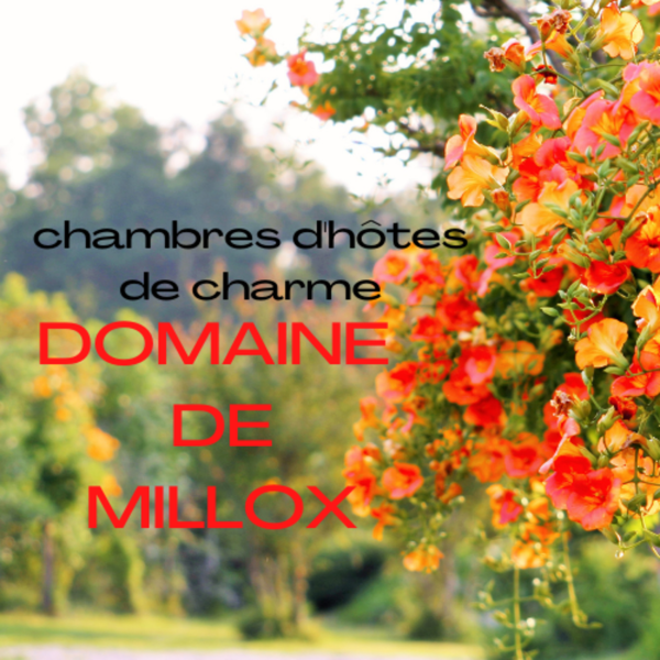 Domaine de Millox in Saint-André-de-Seignanx, France