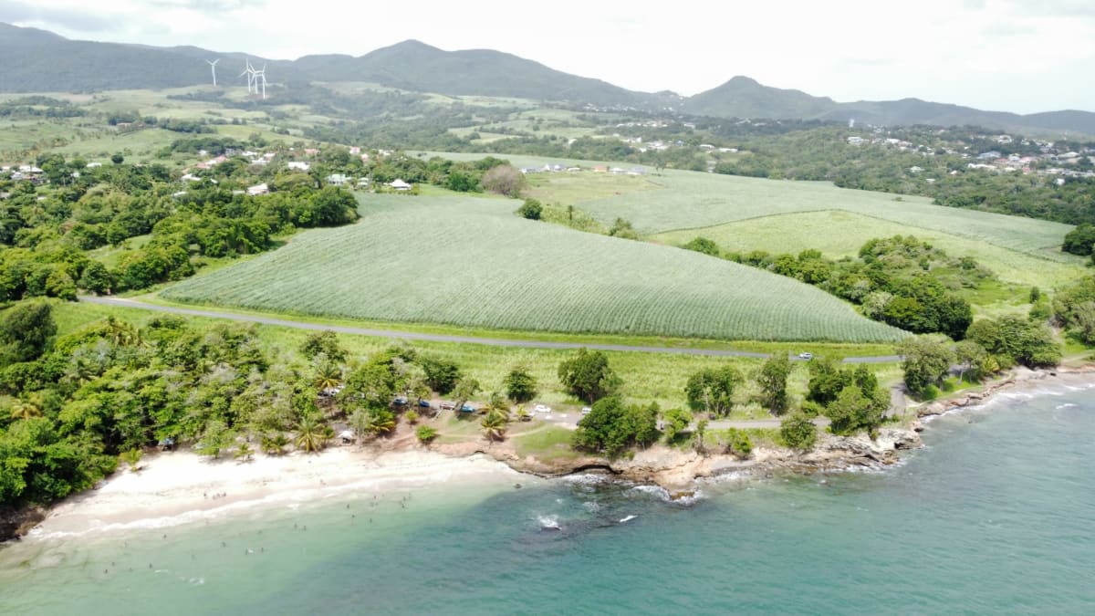 Contactez-nous - Domaine SIMINI Villa Sainte-Rose Guadeloupe