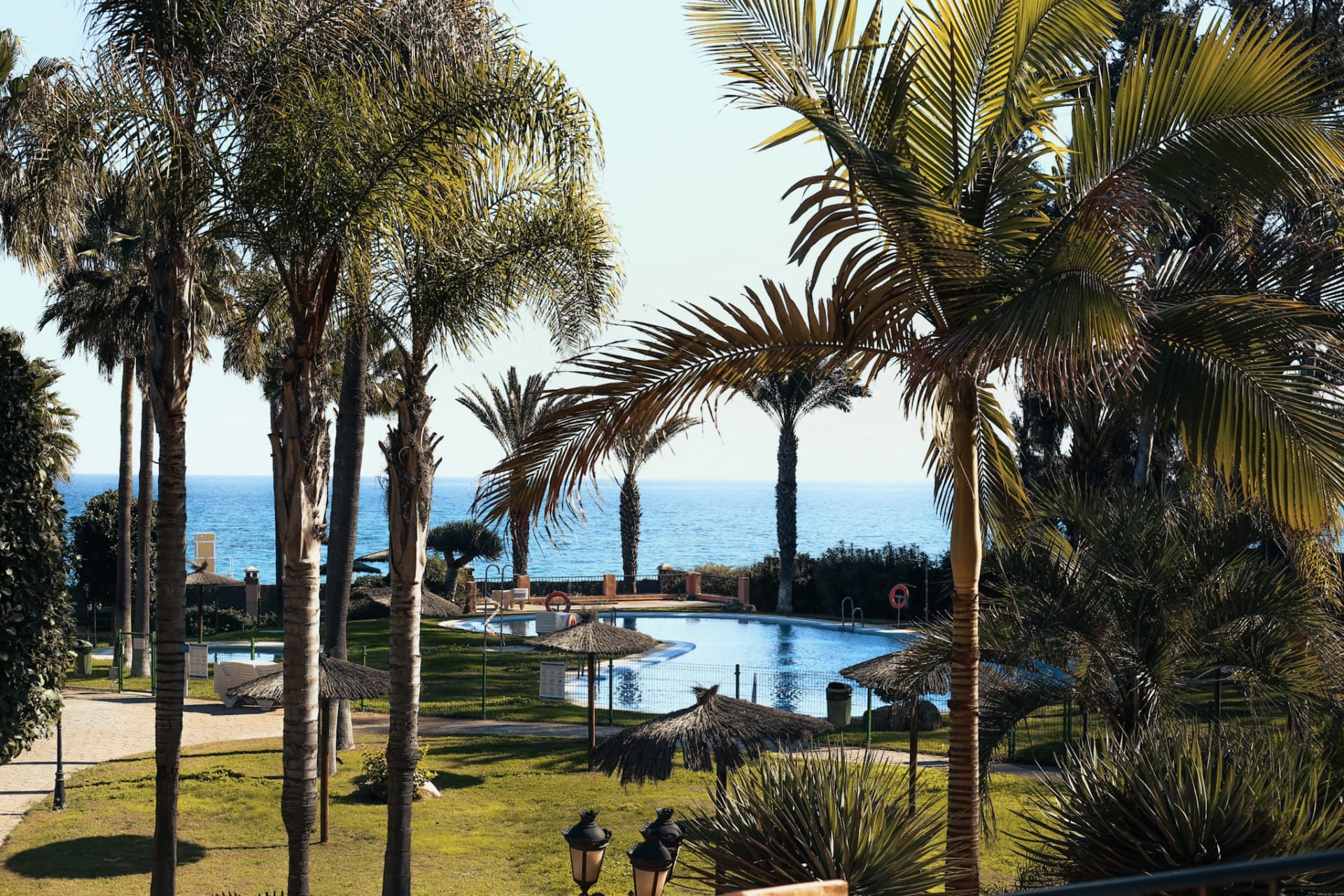 Piscina y jardín con palmeras