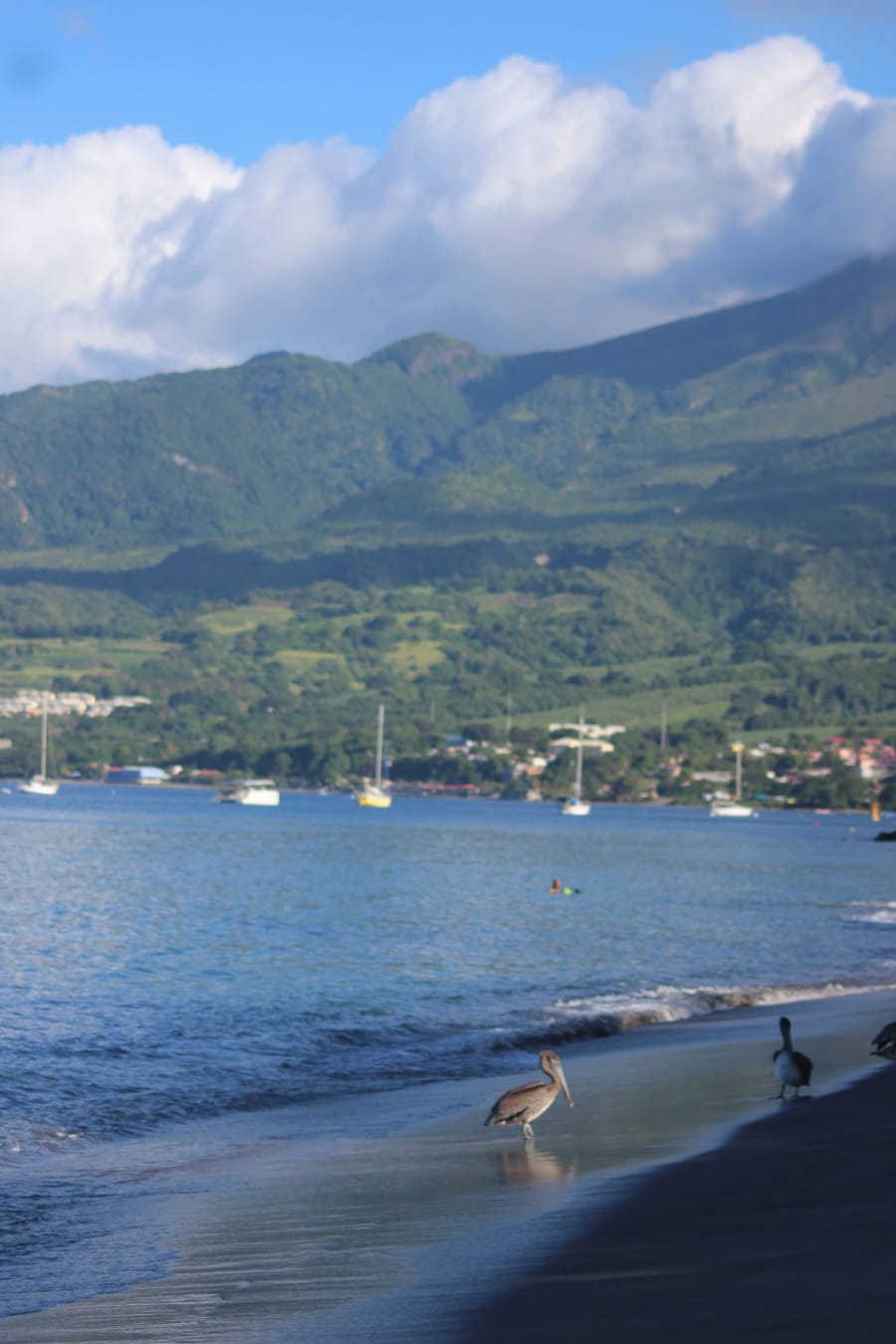 Martinique